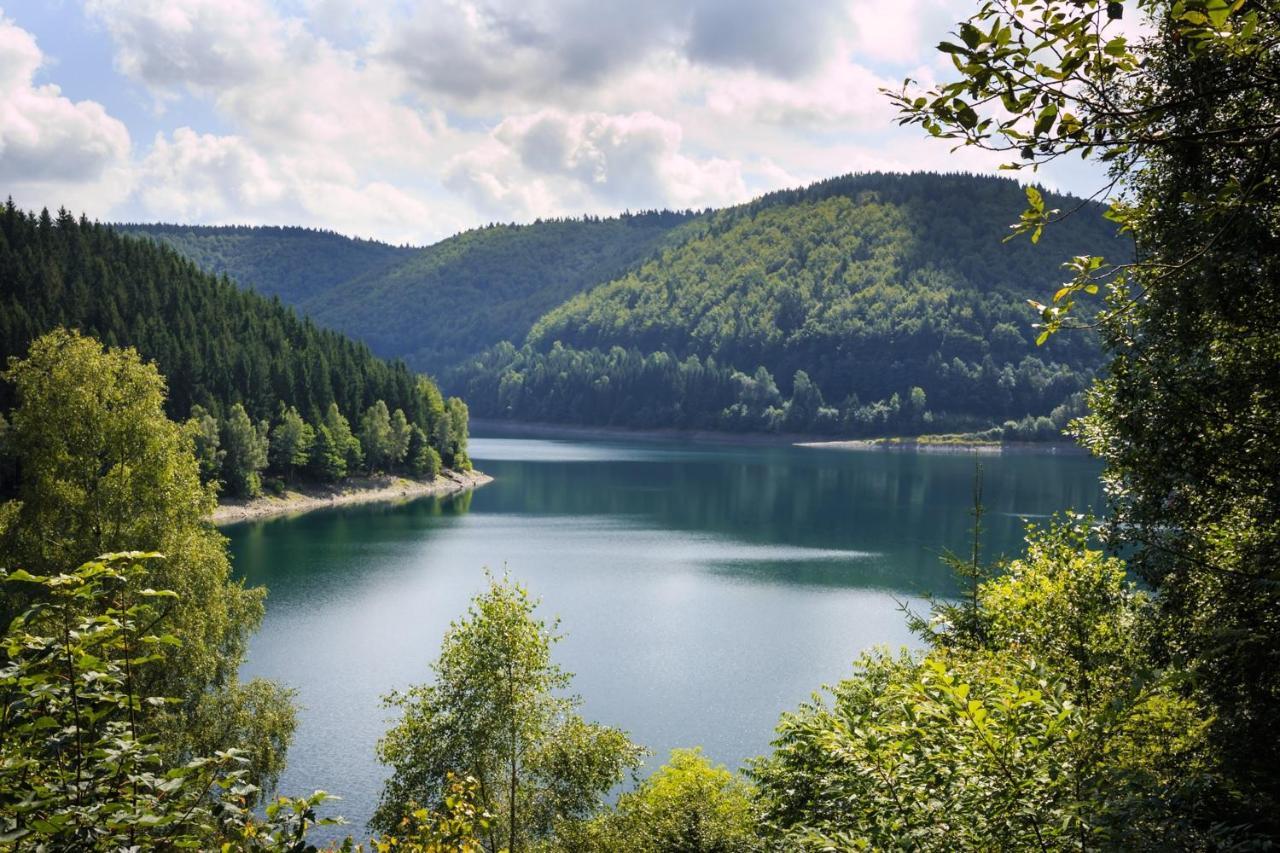 Waldhotel Berghof Луизенталь Экстерьер фото