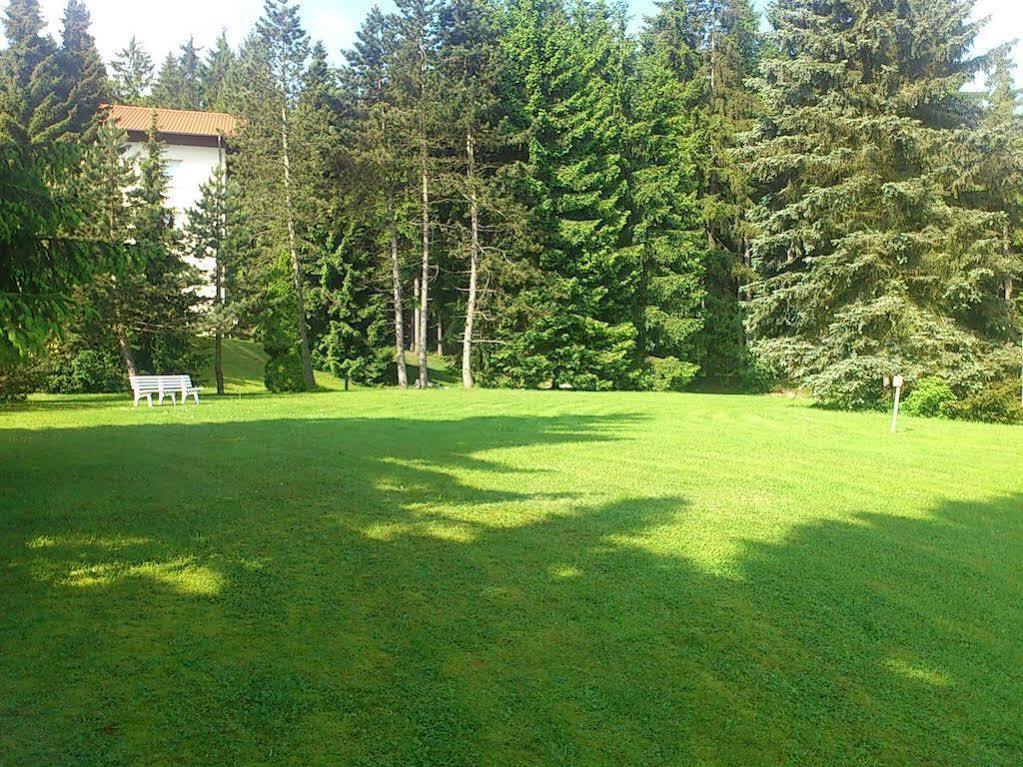 Waldhotel Berghof Луизенталь Экстерьер фото